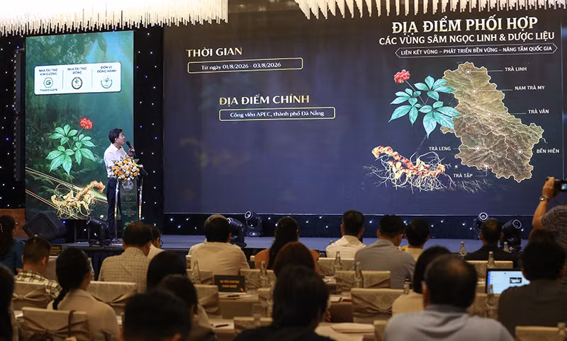 Sáng 17/7, UBND TP Đà Nẵng tổ chức họp báo công bố lễ hội Sâm Ngọc Linh và Dược liệu quốc tế 2026. Ảnh XM.