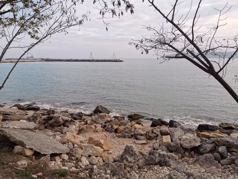P30 Pro
