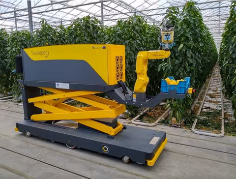 Robot hái ớt chuông trong 24 giây - ảnh 2