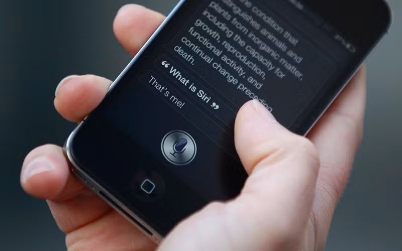 Nhờ thông minh và nhanh trí mà cậu bé đã cứu được mẹ