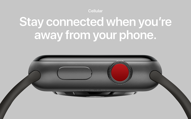 Apple chưa thể sửa hết lỗi của Apple Watch 3 ảnh 3