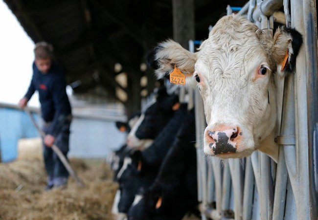 Ảnh Reuters Ảnh Reuters