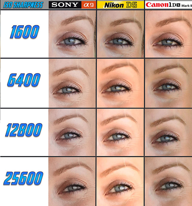 Đại chiến máy ảnh: Sony A9 với Canon 1D X Mark II và Nikon D5 ảnh 5