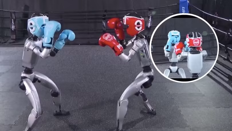 Robot của công ty Unitree Robotics trình diễn kỹ năng quyền anh đối kháng. Ảnh: IE