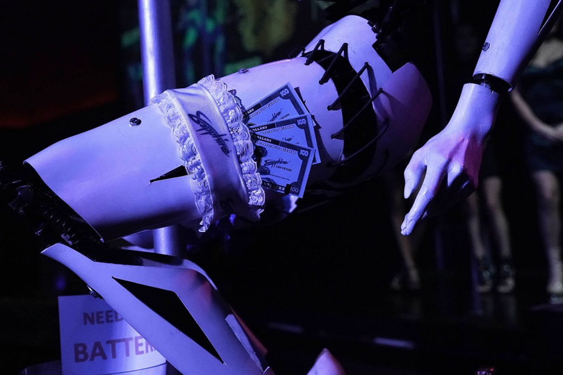 Xuất hiện Robot múa cột thoát y tại triển lãm CES 2018 ảnh 7