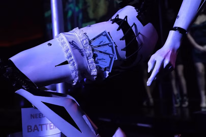 Xuất hiện Robot múa cột thoát y tại triển lãm CES 2018 ảnh 7