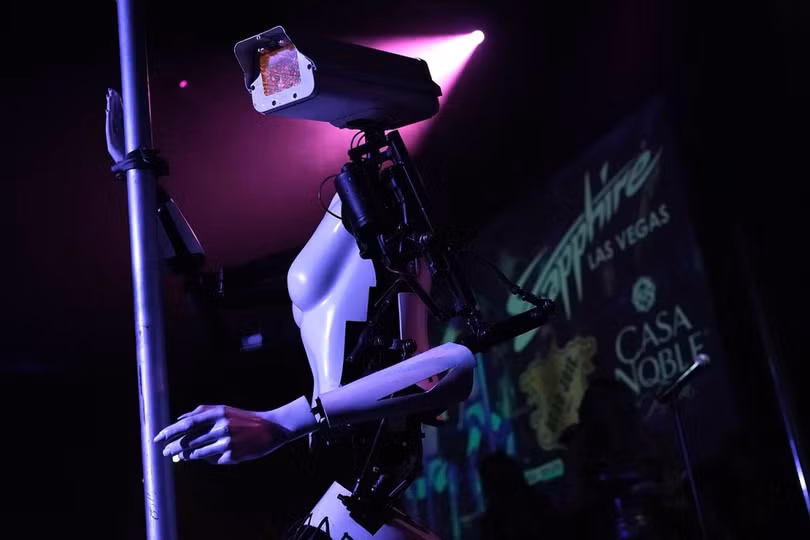 Xuất hiện Robot múa cột thoát y tại triển lãm CES 2018 ảnh 4