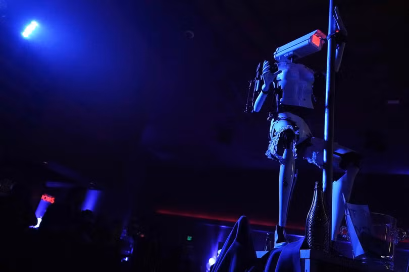 Xuất hiện Robot múa cột thoát y tại triển lãm CES 2018 ảnh 3