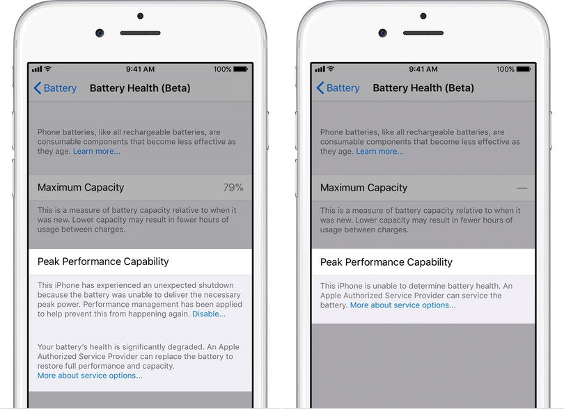 Cách kiểm tra pin chai và vô hiệu hóa tính năng giảm hiệu suất của iPhone ảnh 4