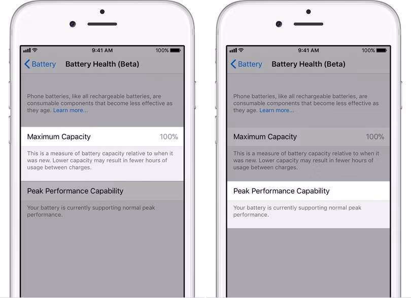 Cách kiểm tra pin chai và vô hiệu hóa tính năng giảm hiệu suất của iPhone ảnh 2