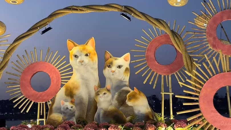 Thừa thiên - Huế