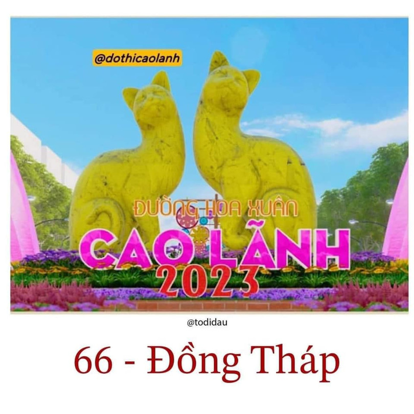Đồng Tháp