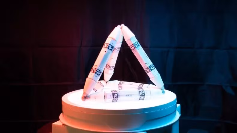 Cơ chế tự lắp ráp, tự sửa chữa của robot. Ảnh: Newsweek