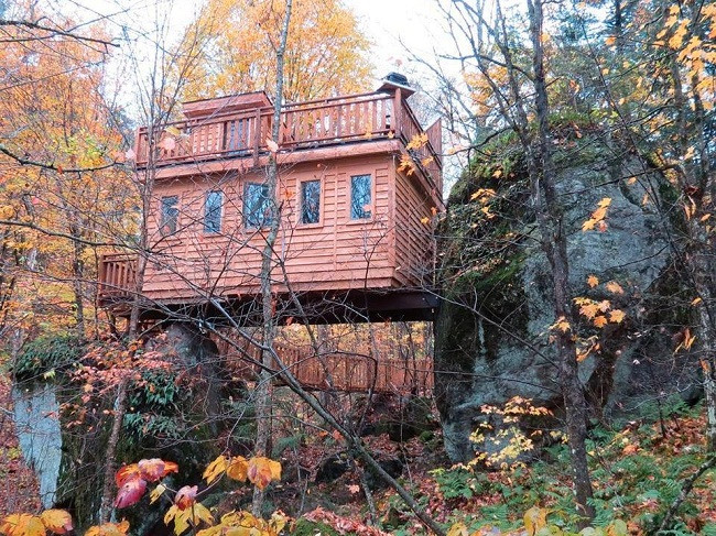 35 ngôi nhà trên cây tuyệt đẹp khiến bạn muốn sống thử một lần ảnh 35