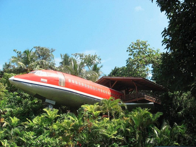 35 ngôi nhà trên cây tuyệt đẹp khiến bạn muốn sống thử một lần ảnh 34