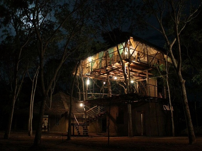 35 ngôi nhà trên cây tuyệt đẹp khiến bạn muốn sống thử một lần ảnh 28