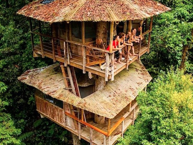 35 ngôi nhà trên cây tuyệt đẹp khiến bạn muốn sống thử một lần ảnh 22