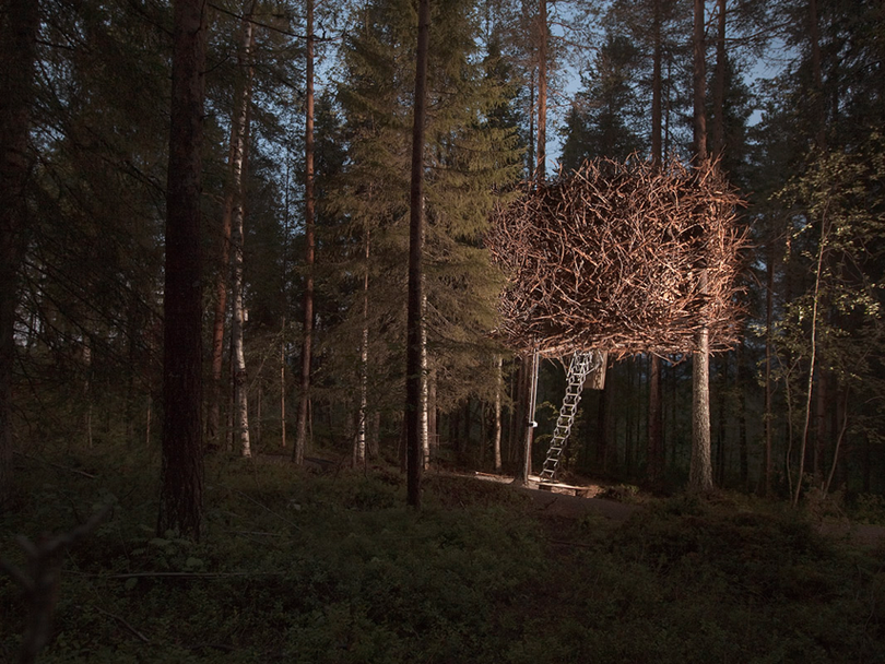 35 ngôi nhà trên cây tuyệt đẹp khiến bạn muốn sống thử một lần ảnh 13