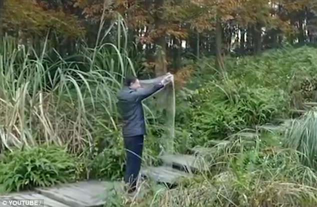 Chiếc áo tàng hình này đang gây xôn xao cộng đồng mạng Trung Quốc ảnh 1