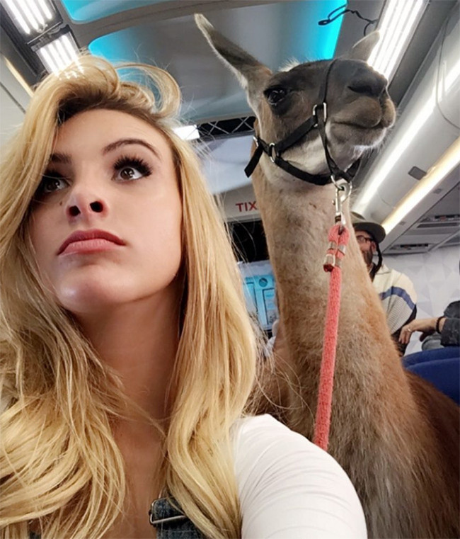 Cuộc sống tuyệt vời của cô gái được nhiều người xem nhất trên Instagram ảnh 17