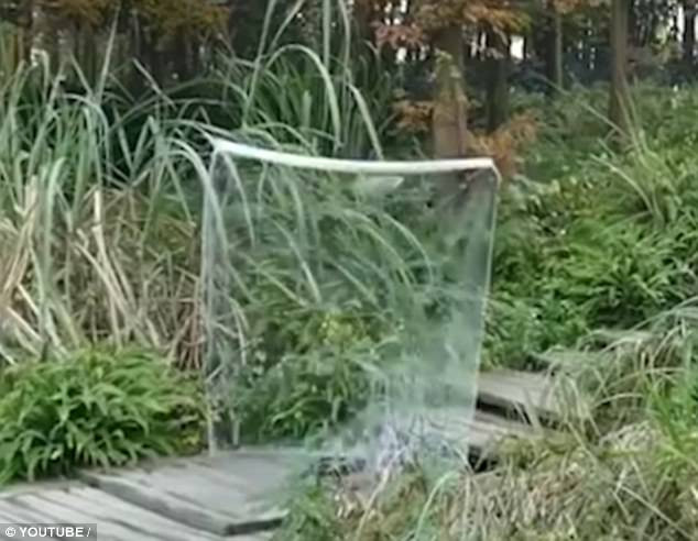 Chiếc áo tàng hình này đang gây xôn xao cộng đồng mạng Trung Quốc ảnh 4