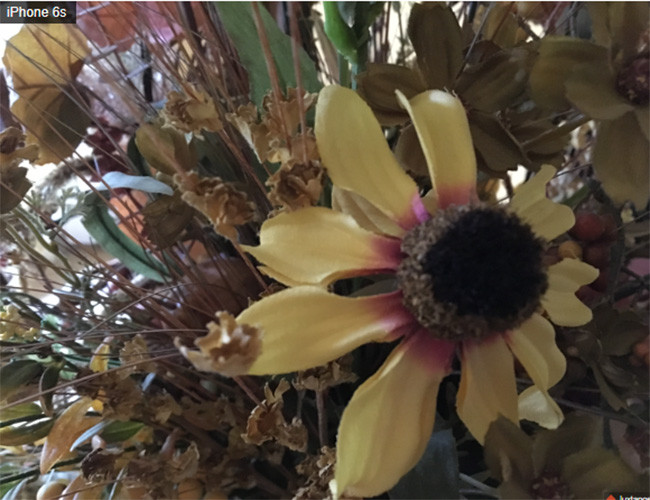 Ảnh chụp từ iPhone 6s và iPhone 8 cho thấy bạn không cần tốn tiền nâng cấp điện thoại ảnh 2