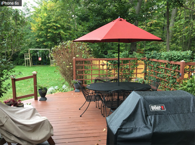 Ảnh chụp từ iPhone 6s và iPhone 8 cho thấy bạn không cần tốn tiền nâng cấp điện thoại ảnh 12