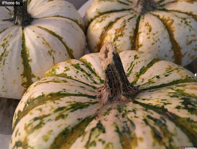 Ảnh chụp từ iPhone 6s và iPhone 8 cho thấy bạn không cần tốn tiền nâng cấp điện thoại ảnh 10