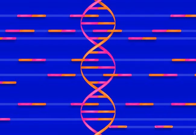 Ảnh minh họa (The Verge)