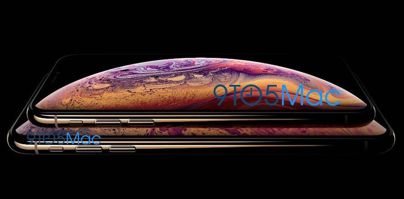 ảnh 2 mẫu iPhone 2018 với bộ vỏ màu vàng (9to5Mac)