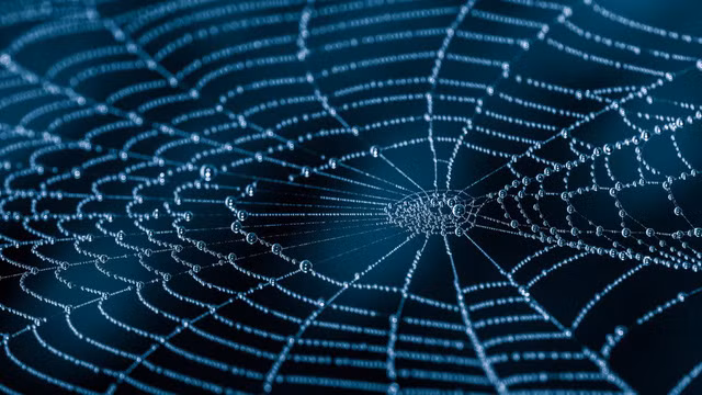 Cơ bắp nhân tạo vốn cần thiết cho các hoạt động vặn xoắn hoặc co kéo của robot, và tơ nhện hứa hẹn là "nguyên liệu" lý tưởng - Ảnh: shutterstock 