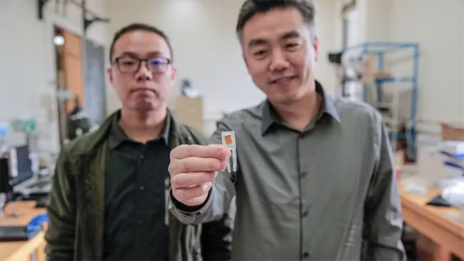 Thiết bị tạo cảm giác no được đặt trong dạ dày và kết nối với não.