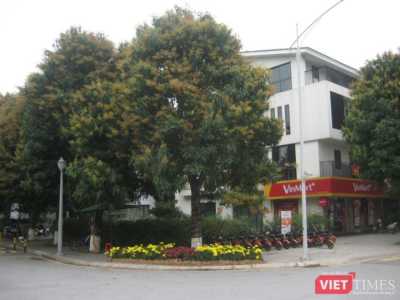 Cây xanh chiếm một tỷ lệ không nhỏ ở khu đô thị Ecopark Cây xanh chiếm một tỷ lệ không nhỏ ở khu đô thị Ecopark