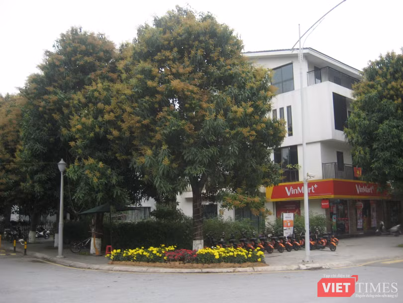 Cây xanh chiếm một tỷ lệ không nhỏ ở khu đô thị Ecopark
