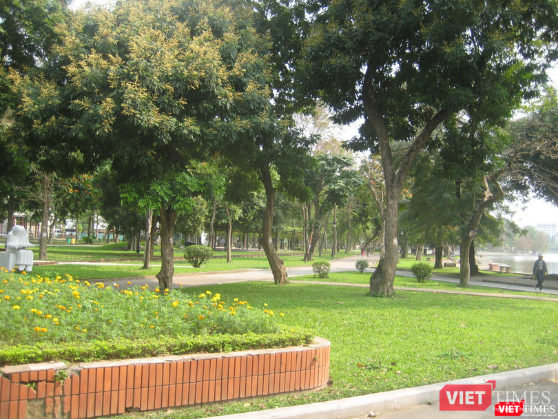 Cây xanh trong Công viên Thống Nhất ở Hà Nội Cây xanh trong Công viên Thống Nhất ở Hà Nội