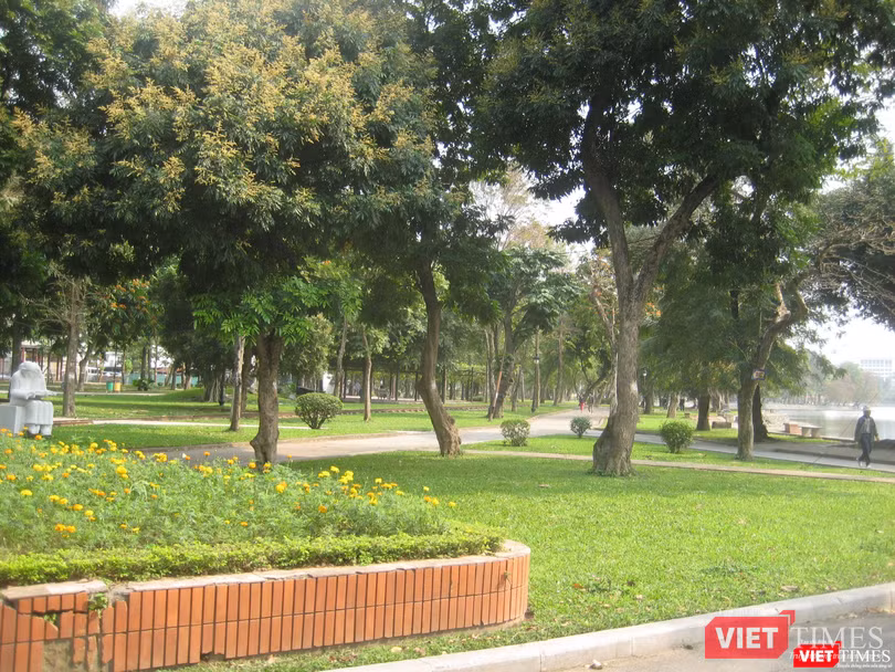 Cây xanh trong Công viên Thống Nhất ở Hà Nội