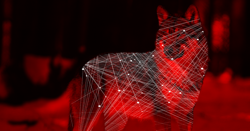 Hãy xem các thuật toán AI như động vật để hiểu chúng. Ảnh: Futurism. 