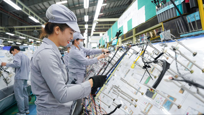 Việt Nam cần tái cấu trúc theo hướng nâng cao nội lực sản xuất quốc gia, giảm lệ thuộc vào FDI. Ảnh: Thaco.