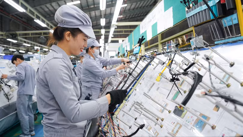 Việt Nam cần tái cấu trúc theo hướng nâng cao nội lực sản xuất quốc gia, giảm lệ thuộc vào FDI. Ảnh: Thaco.