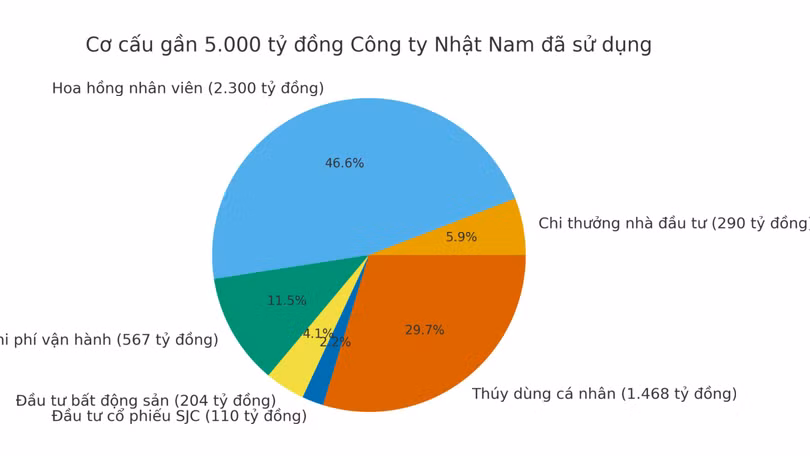 NhatNam_5000ty_pie.png