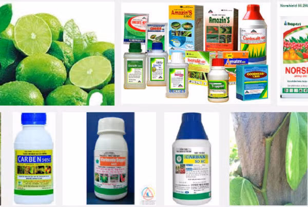 Cục Bảo vệ thực vật đang tiến hành rà soát toàn bộ lượng thuốc bảo vệ thực vật nhập khẩu trong 5 năm gần đây- (Ảnh minh họa).