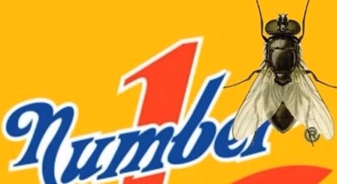 Vụ con ruồi 500 triệu tòa án Y án Võ Văn Minh 7 năm tù- Ảnh minh họa).