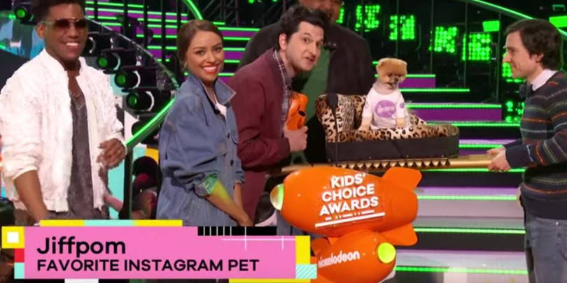 Chú chó Jiff Pom nổi tiếng ra sao mà được xuất hiện trong sự kiện lớn nhất năm của Facebook? ảnh 10