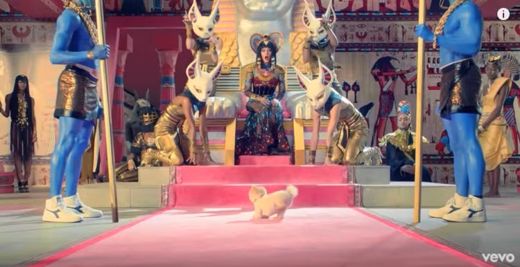 Chú chó Jiff Pom nổi tiếng ra sao mà được xuất hiện trong sự kiện lớn nhất năm của Facebook? ảnh 9