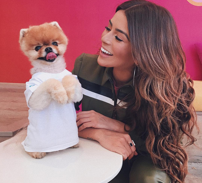 Chú chó Jiff Pom nổi tiếng ra sao mà được xuất hiện trong sự kiện lớn nhất năm của Facebook? ảnh 3