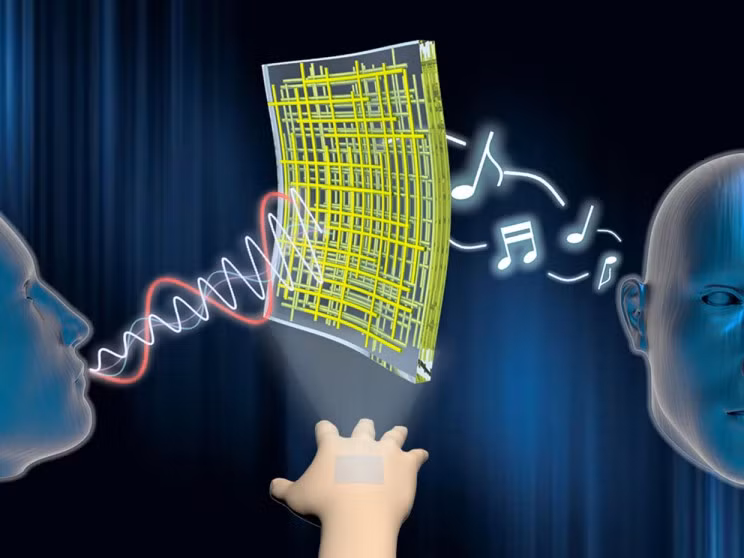 Bạn có tin rằng một chiếc loa có thể mỏng đến nỗi dán được vào da người? (ảnh: Viện Khoa học và Công nghệ Quốc gia Ulsan, Hàn Quốc)