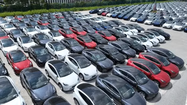 Các dòng xe Tesla đang chờ để đưa lên tàu tại cảng Nangang vào ngày 6 tháng 9 năm 2023 tại Thượng Hải, Trung Quốc (ảnh Getty Images)