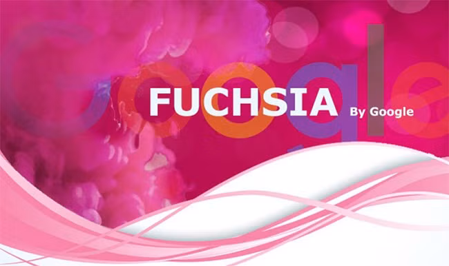 Hệ điều hành mới của Google có tên là Fuchsia