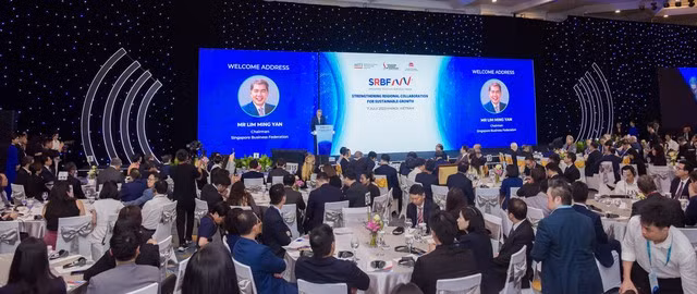 dien dan vietnam singapore.jpg