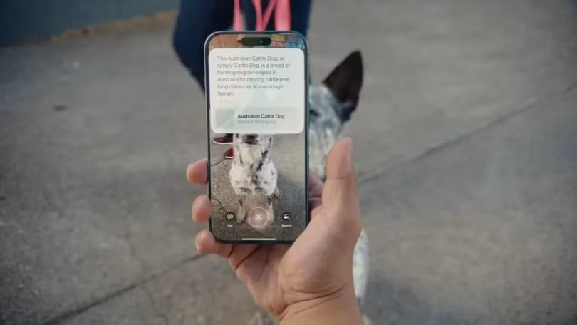 visual inteligence tren iPhone 16.jpg